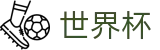 2026国际足联世界杯-释放无限足球激情